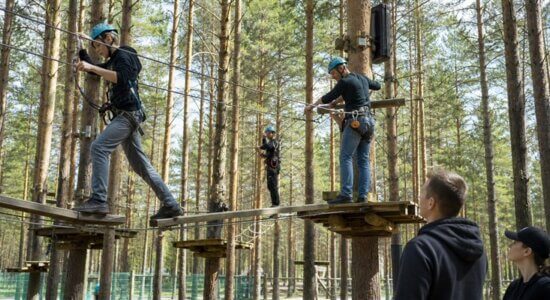 Участники проходят трассы верёвочного парка Tree To Tree в сосновом лесу