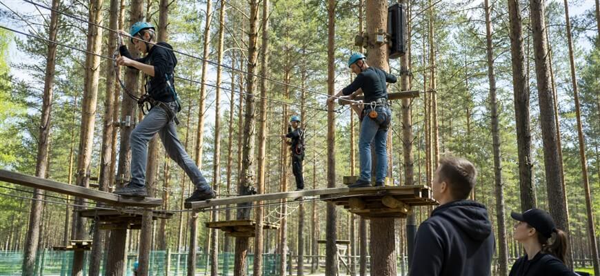 Участники проходят трассы верёвочного парка Tree To Tree в сосновом лесу
