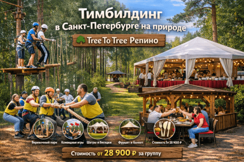 Тимбилдинг в Санкт-Петербурге на природе